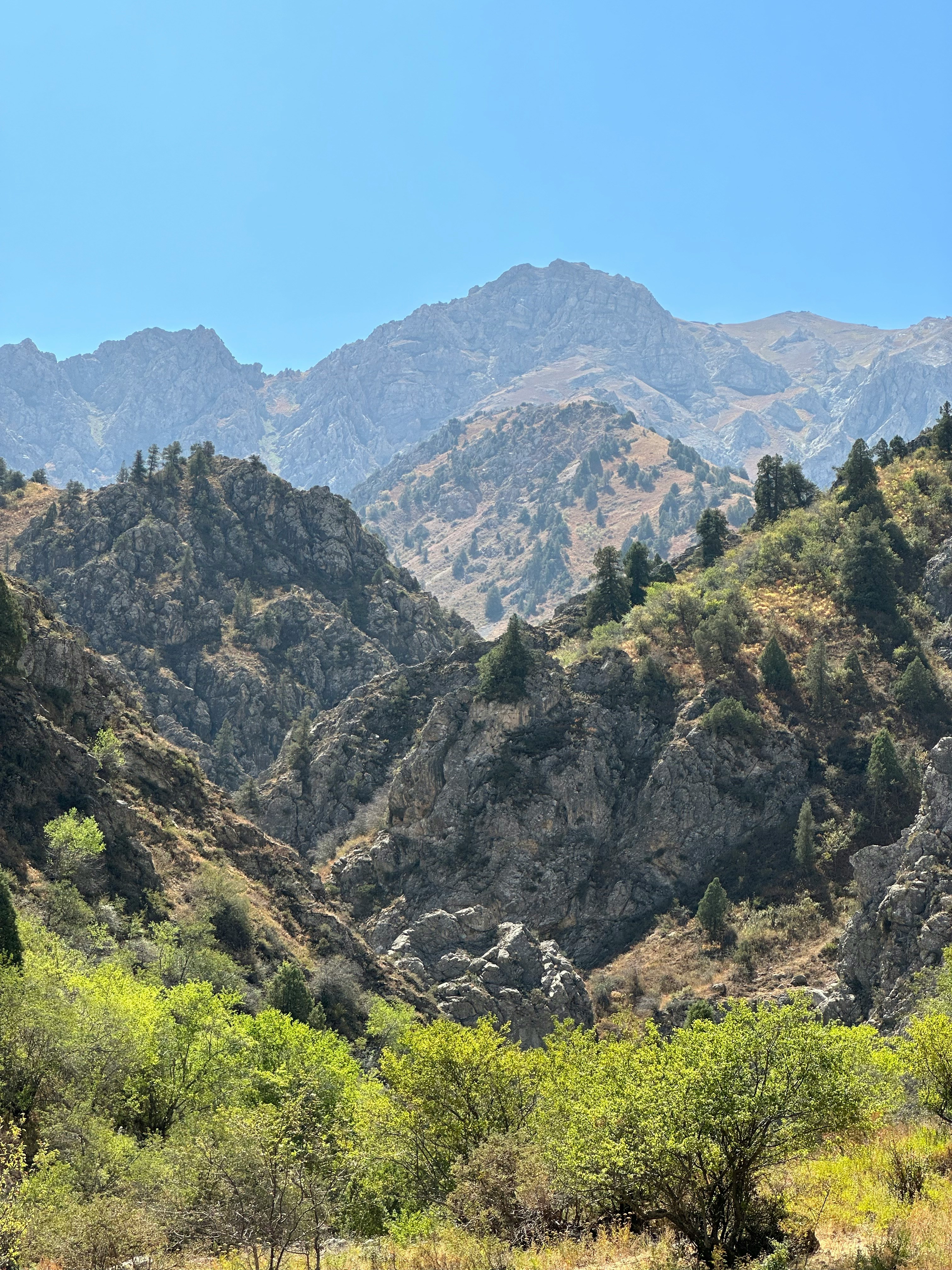 Day trips from Marrakech